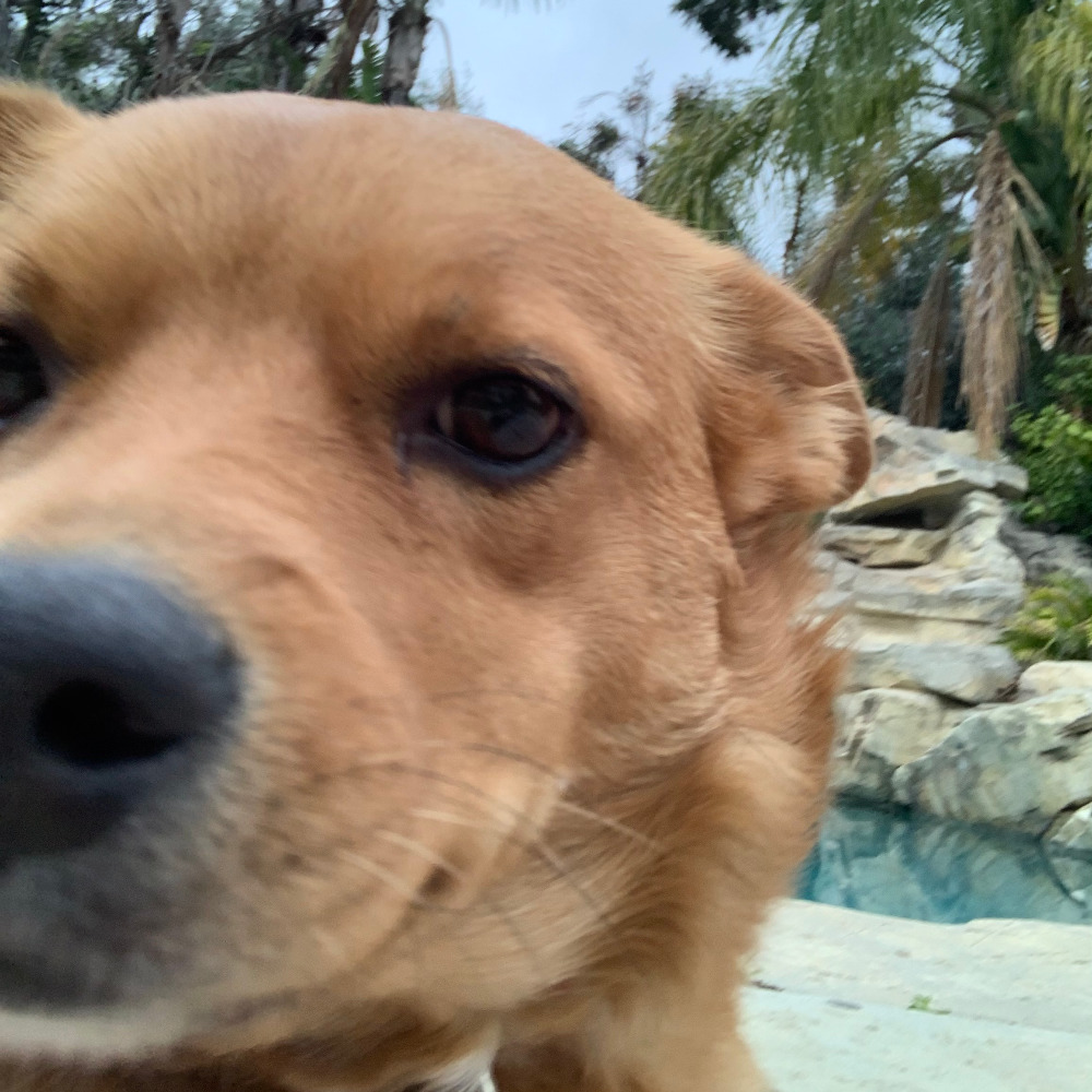 Meet your Posher, Zoe